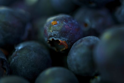 Blueberries in Macro Photography. Fresh Tasty Blueberry.