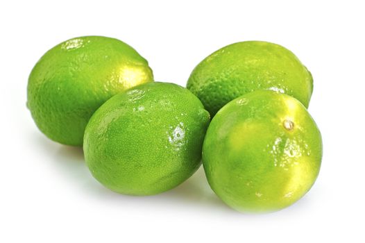 Four Fresh Green Limes Isolated on White. Limes are a good source of vitamin C. Limes are Often Used to Accent the Flavors of Foods and Beverages. Lime Fruits Horizontal Studio Photo