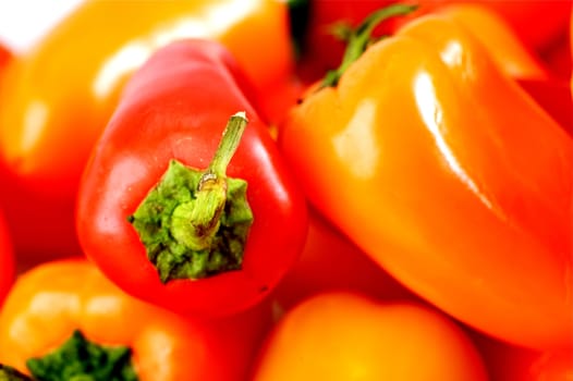 Small Sweet Red and Orange Paprikas. Small Paprikas Closeup Photography.