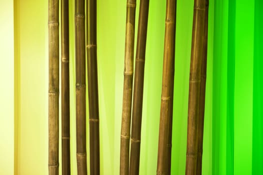 Dry Bamboo Branches - Bamboo Interior Decoration Elements.