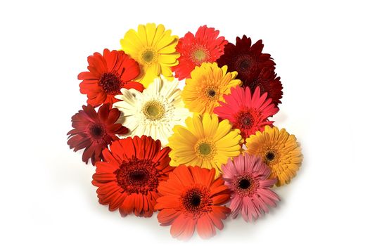 Colorful Gerberas. Clipped Photo. Gerberas Bouquet - White Background