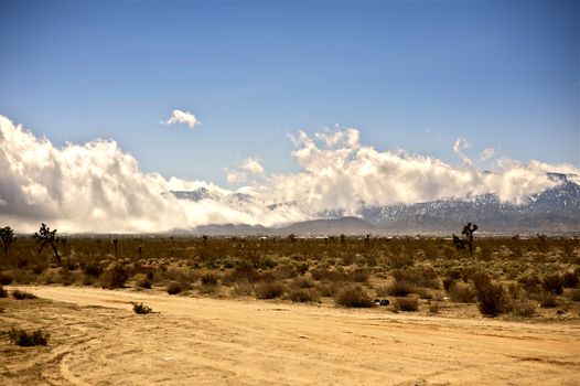 Sierra Nevada Mountains and Desert. California USA