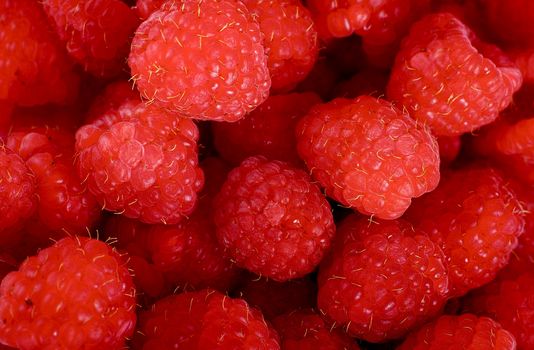 Raspberries Background - Fresh Raw Raspberries Horizontal Closeup Photo