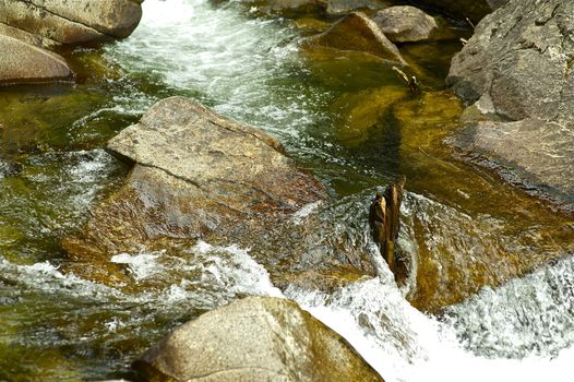 Small Mountain River Near Aspen, Colorado USA.