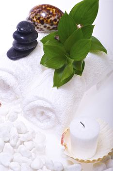 Healthcare Theme - Health and Beauty Kit. White Towel, Black Rocks, Plants and Candles.