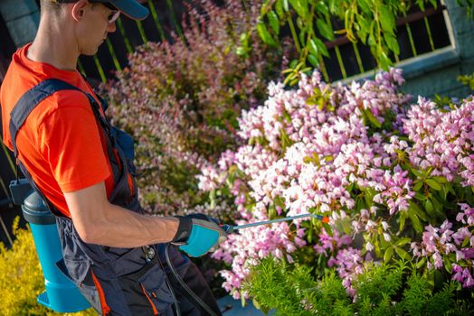 Flowers Pests Spraying. Gardener Taking Care of Flowers.