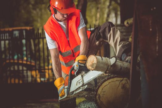 Wood Cut Lumber Works. Caucasian Men with Wood Cutter in Action.