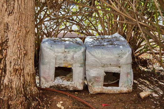 Ariel - 9 December, 2016: Cat house for homeless cats