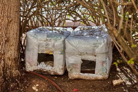Ariel - 9 December, 2016: Cat house for homeless cats
