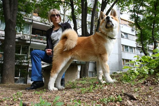 Lady and Akita Inu puppy resting on the bench