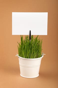 Fresh spring green grass growing in small painted metal bucket with white paper sign copy space, close up over brown kraft paper parchment background, low angle side view