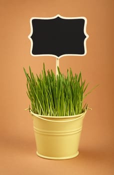 Fresh spring green grass growing in small painted metal bucket with wooden black chalkboard sign, close up over brown kraft paper parchment background, low angle side view