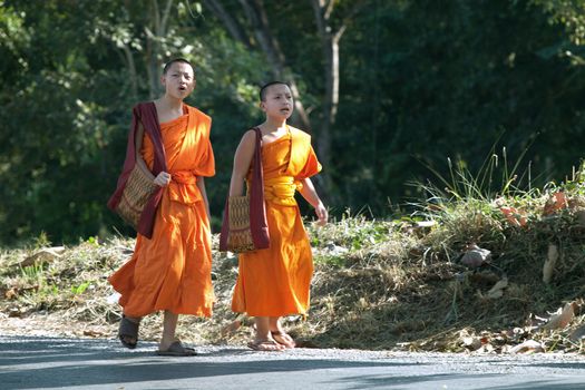 Photo of thai Buddhist monks  are  walking along the street