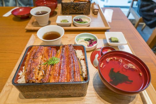 broiled eel on rice,unaju, japanese unagi cuisine