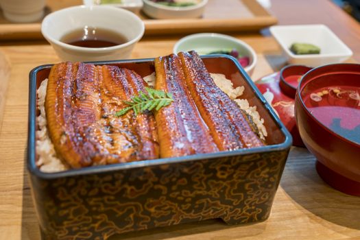 broiled eel on rice,unaju, japanese unagi cuisine