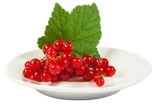 isolated wet redcurrant with green leaf on white plate close