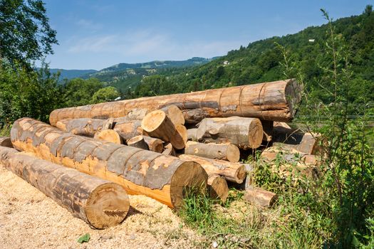 lumber on roadside with sawdust in front of mountains background