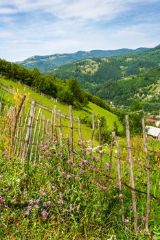 wooden stick fence in village in mountains with blue sky, green grass and path in good weather time