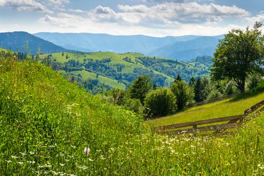 wooden stick fence in vilage in mountains with blue sky, green grass and path in good weather time