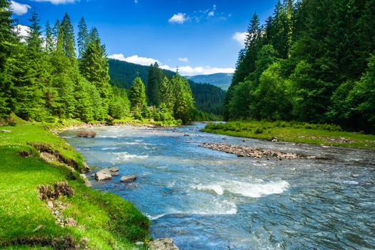 landscape with mountains trees and a river in front