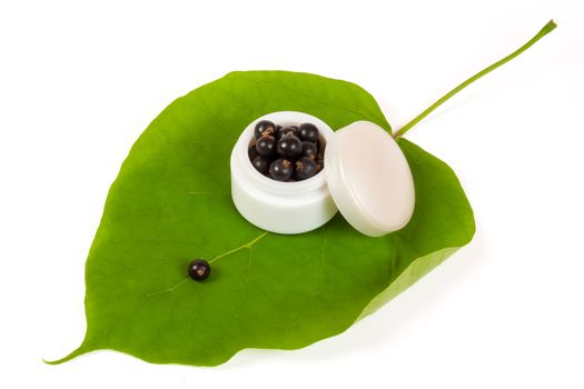 black currants in a jar of makeup on the big green leaf