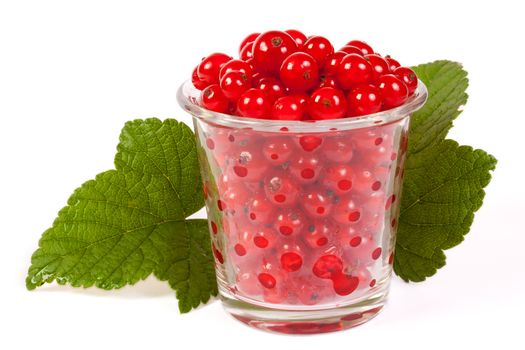 red currants in a glass with green leaves