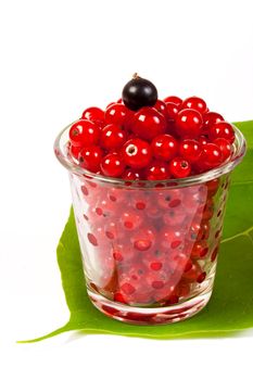 red currants in a glass  on the big green leaf