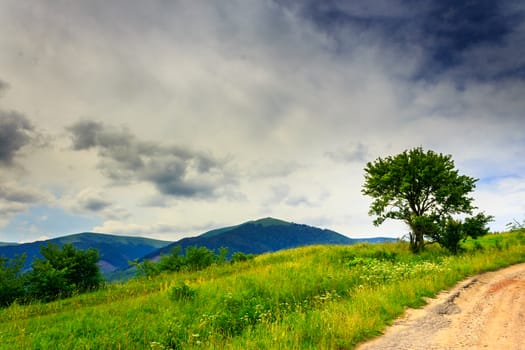 tree and bush on a glade near the mountain road. sky before a storm with heavy clouds over the mountains.