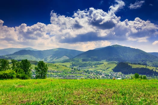 large meadow with few deciduous trees and shrubs in the foreground. clouds over the mountainous massif away in the background. on a good  summer day