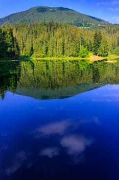 reflection of the clouds and lake shore on which there is a forest and a mountain