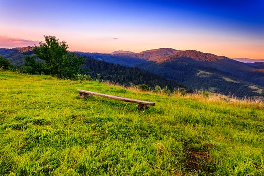 wooden bench on the lawn of the high mountains in the early morning