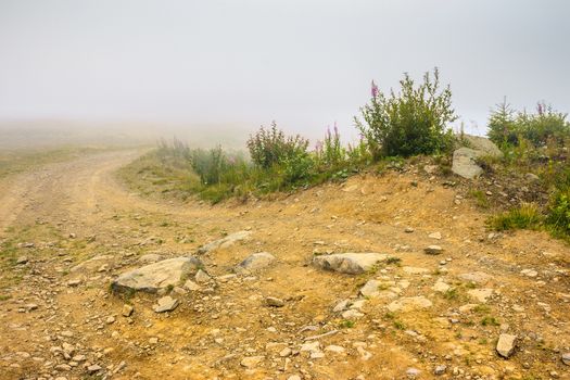 dirt ground road with rocks in the misty mountains