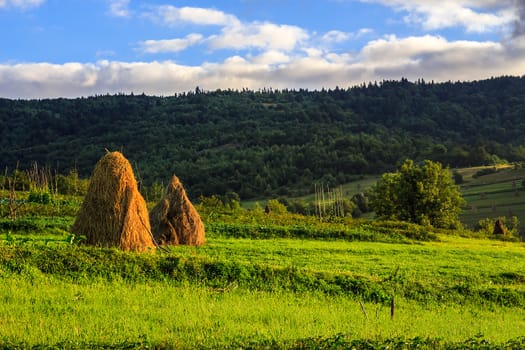 a pair of haystacks and a tree on a green meadow at the foot of the mountain
