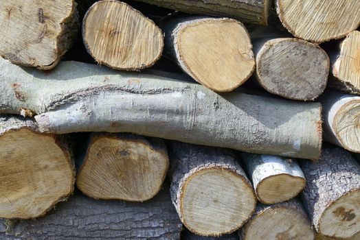 Piles of firewood, cut into logs, the wood of Sardinia.