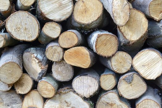 Piles of firewood, cut into logs, the wood of Sardinia.