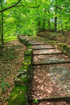 winding path with steps made ​​of stone among the trees in a city park is covered with foliage vertical