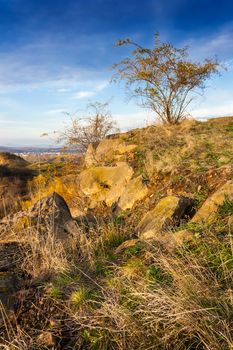 yellowed bushes on the rocky slopes of the hill