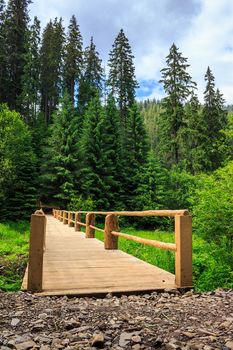 new wooden bridge leading from the unpaved road to a dense coniferous forest. vertical
