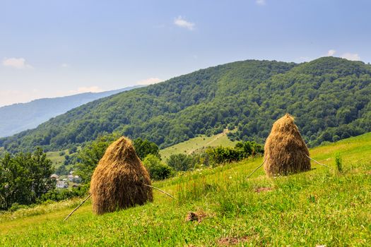haystacks on the hillside near the village