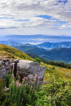 panorama of mountains and rocky ledge on the hillside. vertical