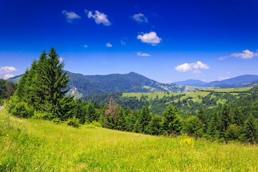 green meadow with trees in front of a mountain view on serene summer day