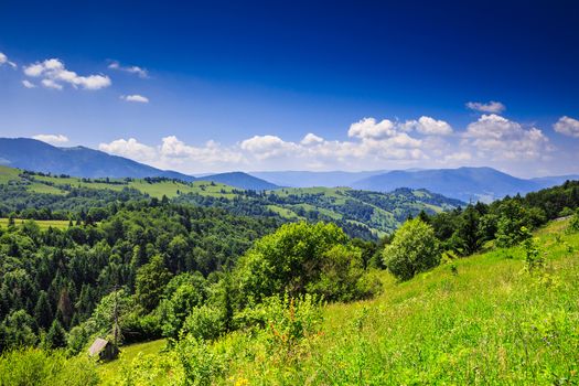 green meadow with trees in front of a mountain view on serene summer day