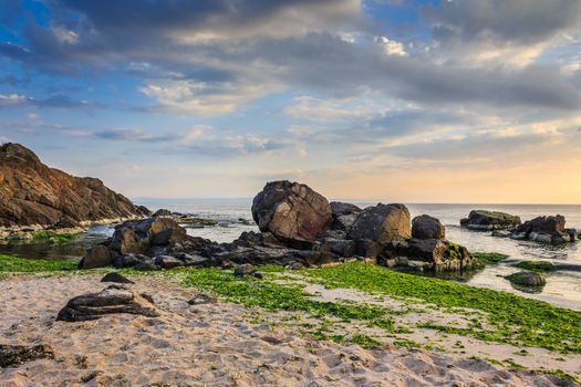 large rocks and seaweed on the sandy coast of the sea, on a cloudy morning