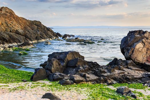 number of stones and rock on the sandy sea coast. seaweed lie on the sand made ​​by the storm.