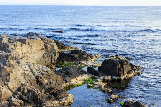 rocky coast with seaweed near the blue sea