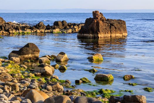 rocky coast with seaweed near the blue sea and horizon line