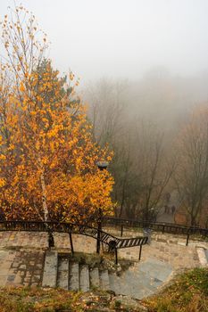 top view of the yellowed tree and climbing steps in foggy autumn park