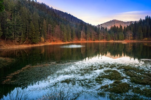 autumn evening at a mountain lake in forest