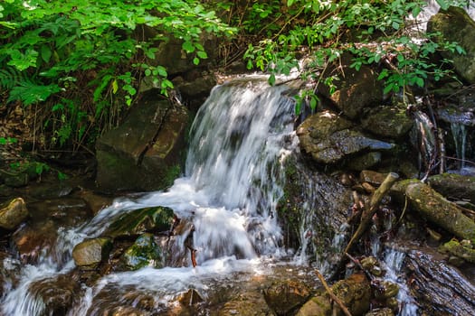 mountain stream with a cascade flowing in forest