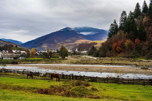 Autumn mountain landscape in a cloudy day. confluence of the rivers on the outskirts of the village. Horses graze along the river.